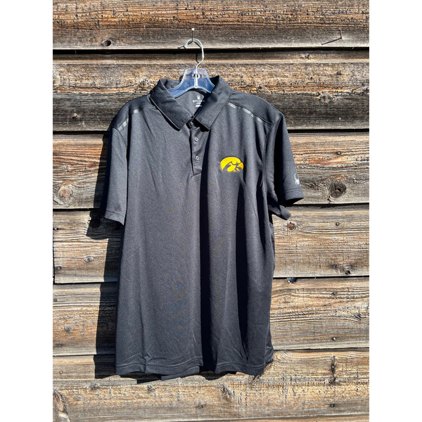 University of Iowa Polo