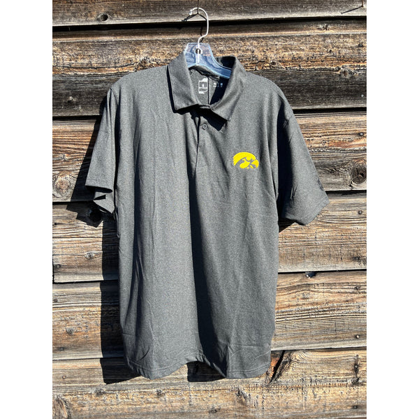 University of Iowa Polo